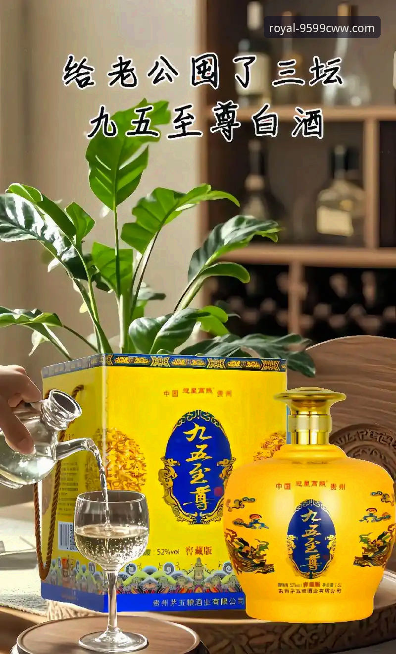 九五至尊专属旅程：从注册到尊享的全面解析